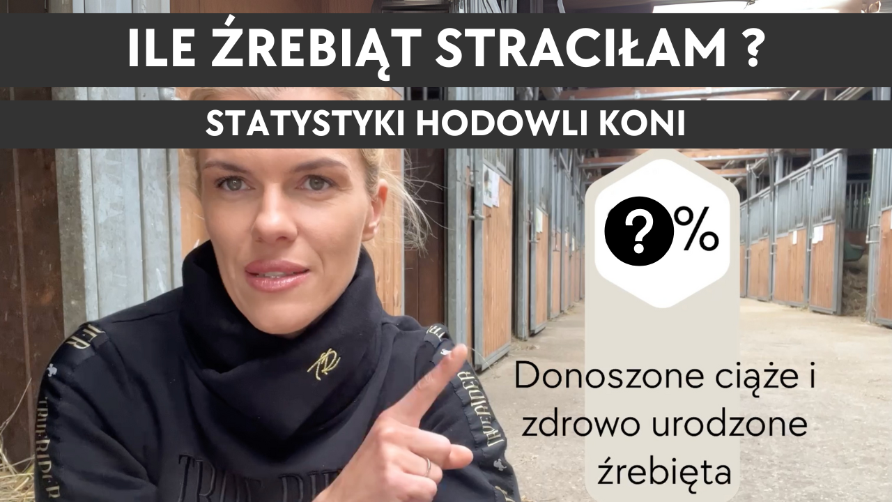 14.09.25 Kulisy hodowli – Ile źrebaków straciłam? Statystyki hodowli koni