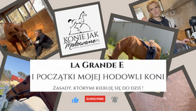 1.10.2023 Początki mojej hodowli koni - La Grande E i zasady, którymi kieruję się do dziś