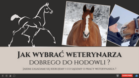 13.01.24 Jak wybrać dobrego weterynarza do hodowli?