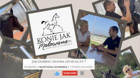 17.09.2023 Jak dobierać ogiera do klaczy? Stacja ogierów Cichoń Stallions