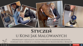 18.02.24 Styczeń u KoniJakMalowanych - sprawdzamy ciąże klaczy, stawiamy silos, odejście Grande, Radzionków