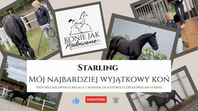 19.11.2023 Najbardziej wyjątkowy koń - Starling, dla niej zbudowałam stajnie i obrałam nowy kierunek hodowli