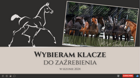 21.01.24 Wybieram klacze do zaźrenienia w sezonie 2024