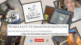 22.10.2023 Warsztaty USG klaczy z "Vetpraktyki" Dr. Zając