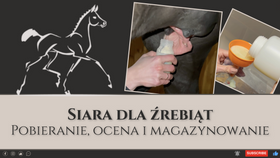 24.03.24 Siara dla źrebiąt – pobieranie, ocena i magazynowanie