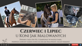 24.08.02 Czerwiec i lipiec u KoniJakMalowanych - źrebaki, ciąża Die Fee, Czempionat, zawody, mały kurczaczek