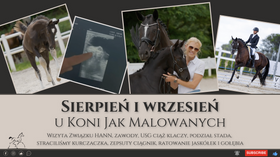 24.10.11 Sierpień i wrzesień u KoniJakMalowanych - wizyta związku HANN, zawody, USG ciąż, straciliśmy kure