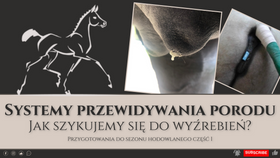 25.02.24 Systemy przewidujące poród i nasze przygotowania do wyźrebień