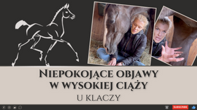 27.03.24 Niepokojące objawy w wysokiej ciąży u klaczy