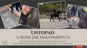 3.12.23 Listopad u Koni Jak Malowanych - wracam w siodło, przygotowujemy stajnie do zimy, cudowny źrebak Damaris