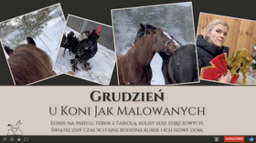 31.12.24 Grudzień u KoniJakMalowanych - konie na śniegu, teren z Fabiolą, kulisy sesji foto, dom dla kurek