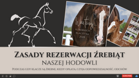 5.01.24 Zasady rezerwacji źrebiąt naszej hodowli