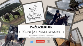 5.11.2023 Październik u Koni Jak Malowanych: kupuję klacz do jazdy i hodowli, odstawiamy i żegnamy źrebaki