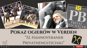 6.02.24 Pokaz ogierów w Verden "32. Hannoveraner Privathengstschau"