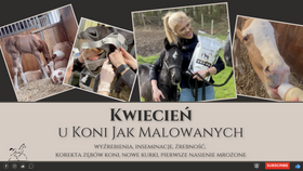 8.05.24 Kwiecień u KoniJakMalowanych - wyźrebienia, inseminacje, źrebność, korekta zębów koni, nowe kurki